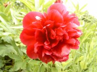 zu weiteren Bildern